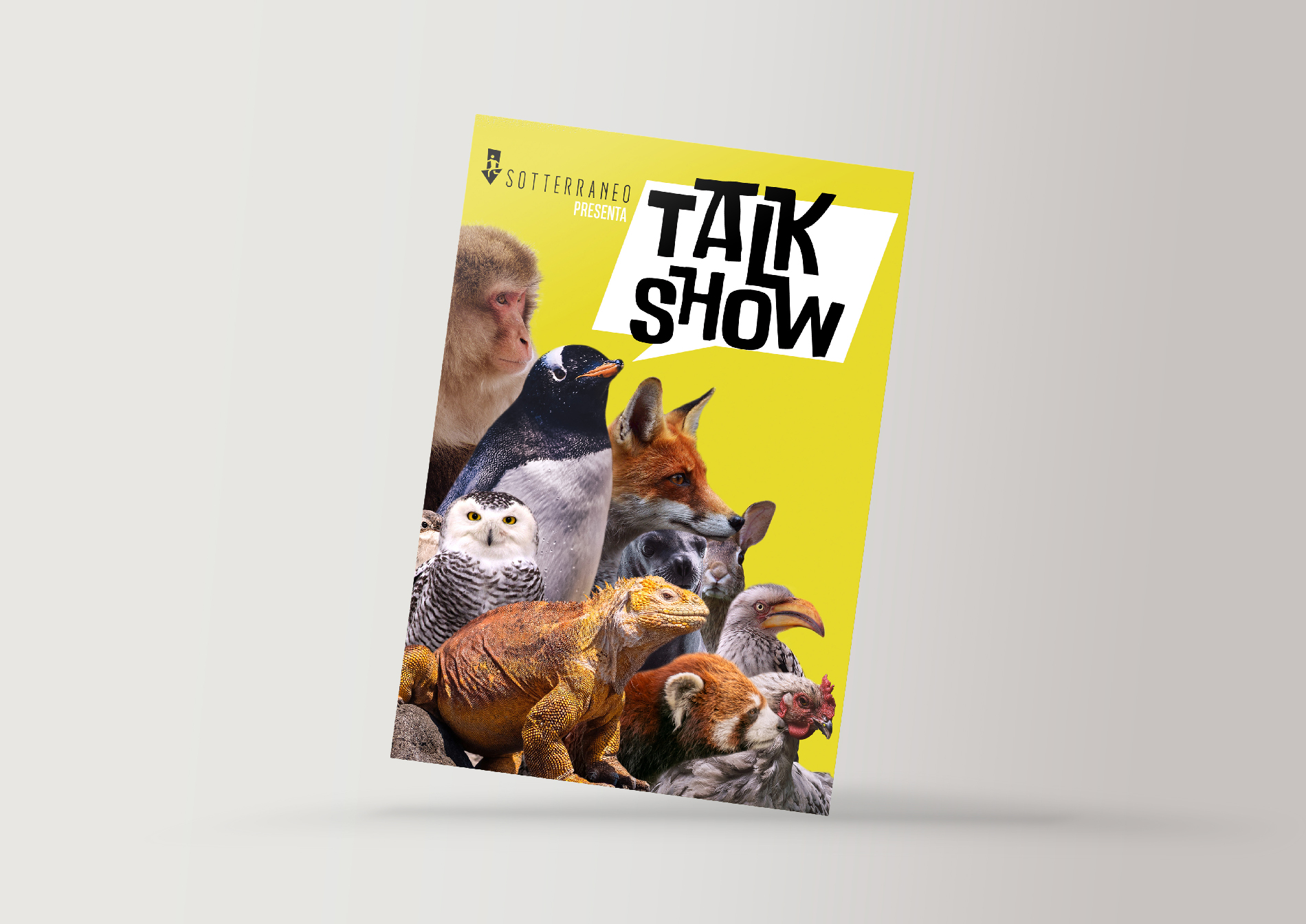 TALK SHOW_fotosito